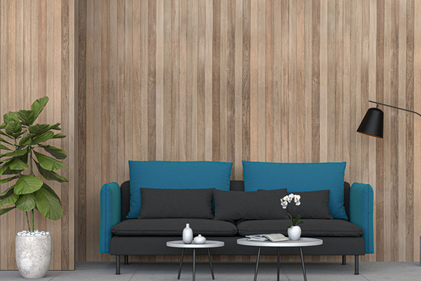 Outdoor entertaining with architectural windows